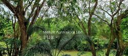 Sunset Way (D21), Condominium #454593291